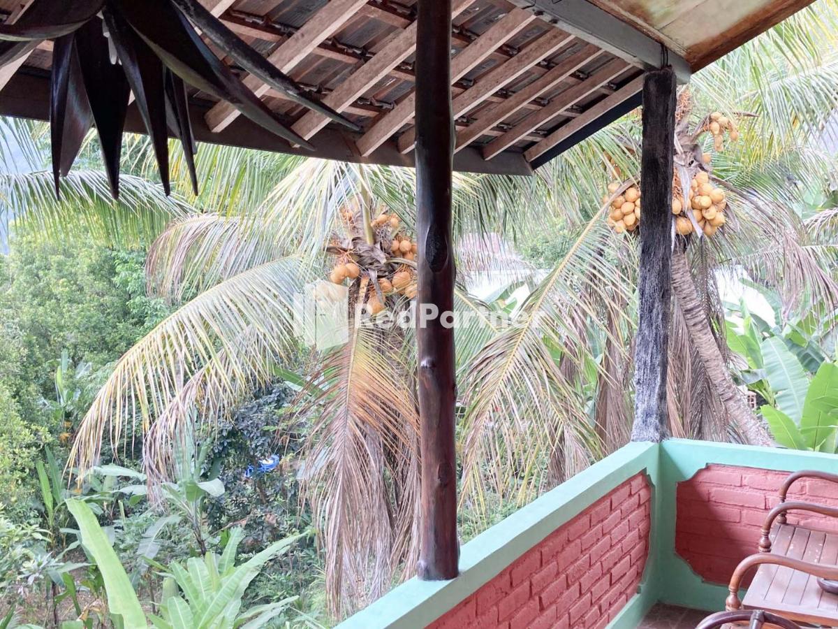Taman Ayu Homestay Munduk Mitra Reddoorz Exterior photo